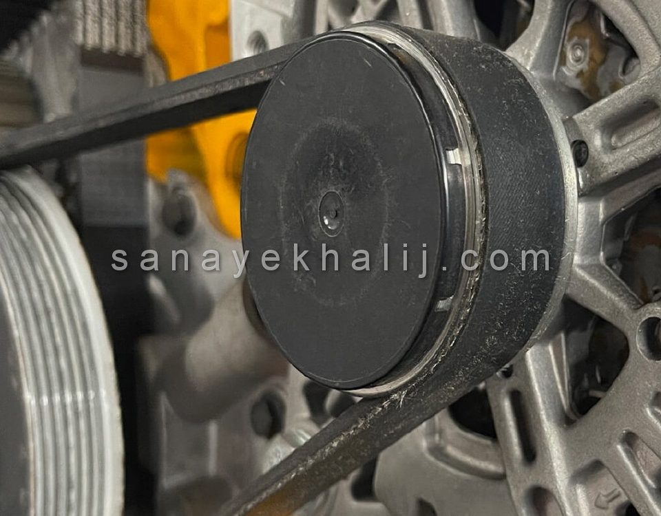 تسمه پروانه (2)